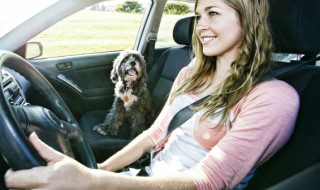 电子刹车的自动挡车停车正确方法 自动档汽车电子刹车正确的起步和停车步骤