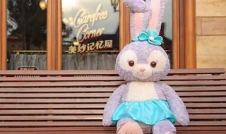 星黛露的寓意和象征（星黛露代表）