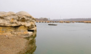 大汶河起源于哪里流入哪里（大汶河发源于哪里）