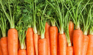 胡萝卜苹果生姜榨汁有什么作用（胡萝卜苹果生姜榨汁有什么作用与功效）