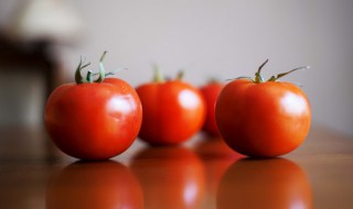 西红柿能和酸奶一起榨汁吗 西红柿苹果酸奶可以混在一起榨汁吗