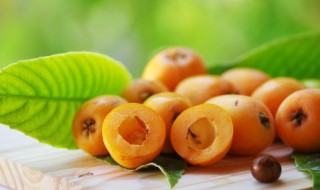 什么东西可以榨汁（什么东西可以榨汁减肥）