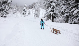 滑雪运动起源于什么地方 一类滑雪运动的起源地是