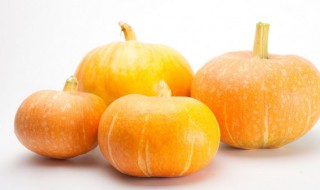 南瓜种植高产妙招有哪些 南瓜的种植技巧