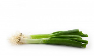 种植小葱有哪些技巧（小葱的种植技巧）