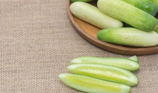 瓠瓜高产种植技术要点有哪些(夏季瓠瓜如何种植)