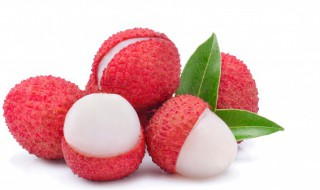 番荔枝什么时间移植好(荔枝什么时候种植怎么种)