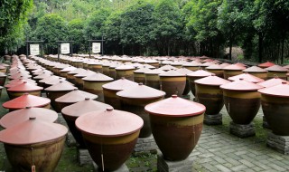 四川特产是什么 四川特产是什么食物