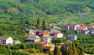 浙江指南村在哪里（杭州市指南村在什么地方）