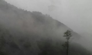 巫山云雨典故出自那里啊详细说明