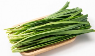 韭菜移栽根怎么修剪（韭菜移栽根怎么修剪视频）