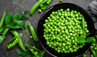 阳台豌豆的种植方法 阳台种豌豆怎么种