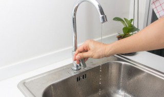 厨房下水道反味怎么办 厨房间下水道反味儿的解决办法