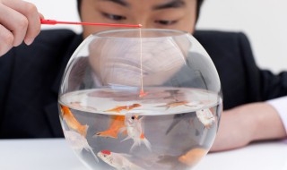 如何去除鱼缸的腥味（怎样去除鱼缸的鱼腥味）