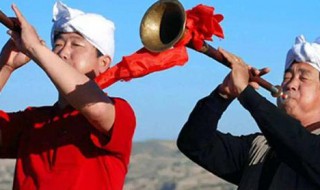 中国唢呐之乡是哪里（唢呐之乡百度百科）