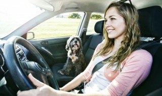 夏天要不要清洗汽车空调（冬天洗汽车空调）