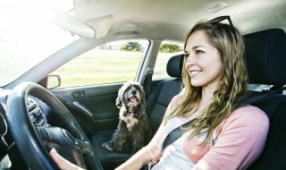 汽车发电机怎么量电压 汽车发电机怎么测量电压