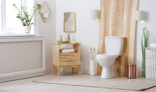 去除厕所异味有哪些方法（有什么办法可以去除厕所的异味）