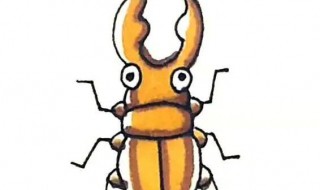 楸甲虫主要吃什么? 锹甲虫主要吃什么