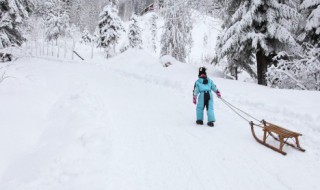 哈尔滨到雪乡旅游攻略（哈尔滨雪乡旅游线路）