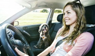 考驾驶证用临时身份证可以吗 考驾照用临时身份证可以吗