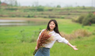 开封的著名景点有哪些（开封比较有名的景点）