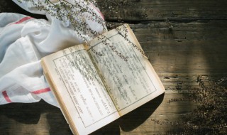 月出皎兮佼人僚兮是什么意思 月出皎兮佼人僚兮.什么意思