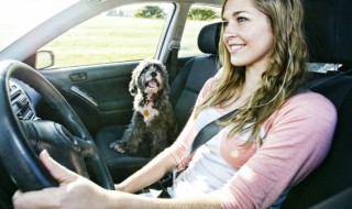 刹车油多长时间换一次（小轿车刹车油多长时间换一次）