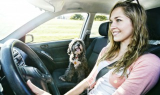 三元催化多久更换一次（三元催化剂多久更换）