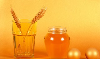 孕妇早上空腹喝蜂蜜水好吗(孕妇早上空腹喝蜂蜜水好不好)