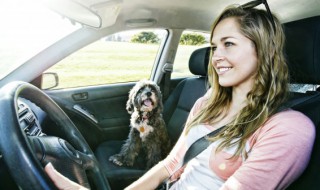 汽车日常养护注意事项是什么（汽车养护小常识）