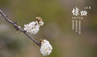 月夜反应的季节是什么季节 月夜是哪个季节