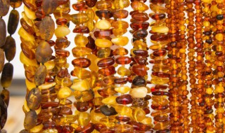 琥珀形成的条件是什么 琥珀形成的条件是什么 第5课