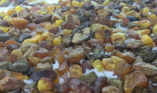 琥珀产地哪几个国家（琥珀木产地哪几个国家）