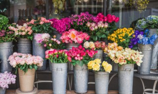 家里怎么自制营养液（自制营养液的做法）