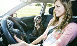 驾驶证被吊销了怎么办 酒驾驾驶证被吊销了怎么办