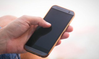 网上怎么查驾驶证（网上怎么查驾驶证办理进度）