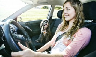 查驾驶证分怎么查（查驾驶证分怎么查微信可以吗）