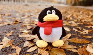 怎么看qq注册时间（怎么看qq注册时间2022）