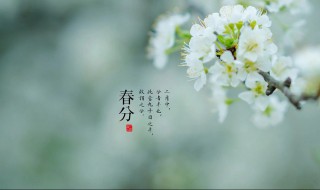 2022年春分节气各个时辰吉凶分析（2022年春分节气各个时辰吉凶分析视频）