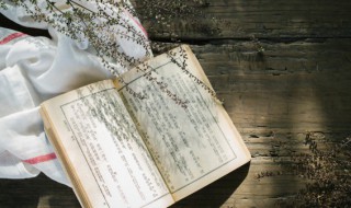 四时皆春好风景是什么意思 四时皆春风景好生肖