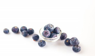 蓝莓牛奶榨汁有什么营养价值(酸奶蓝莓榨汁有啥效果)