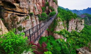 温州有什么必去的景点（温州必游的景点有哪些）