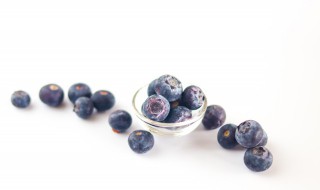 蓝莓的养殖方法和注意事项（蓝莓如何种植与养护）