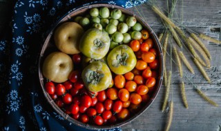黑珍珠番茄种植方法(红珍珠番茄的种植技术)