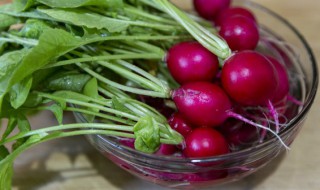 红萝卜种植时间和方法（满堂红萝卜种植时间和方法）