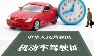 驾驶证掉了怎么补（驾驶证掉了怎么补办）