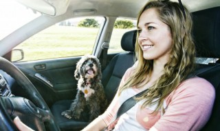 新车多少公里换机油（新车多少公里换机油比较好）