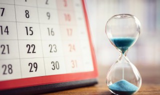 属猪腊月出生命运如何 腊月的猪命运如何