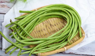 豇豆种植时间和方法 东北豇豆种植时间和方法